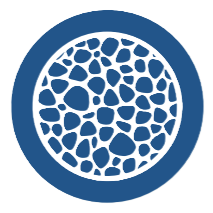 Osteoporosis & Bone Health